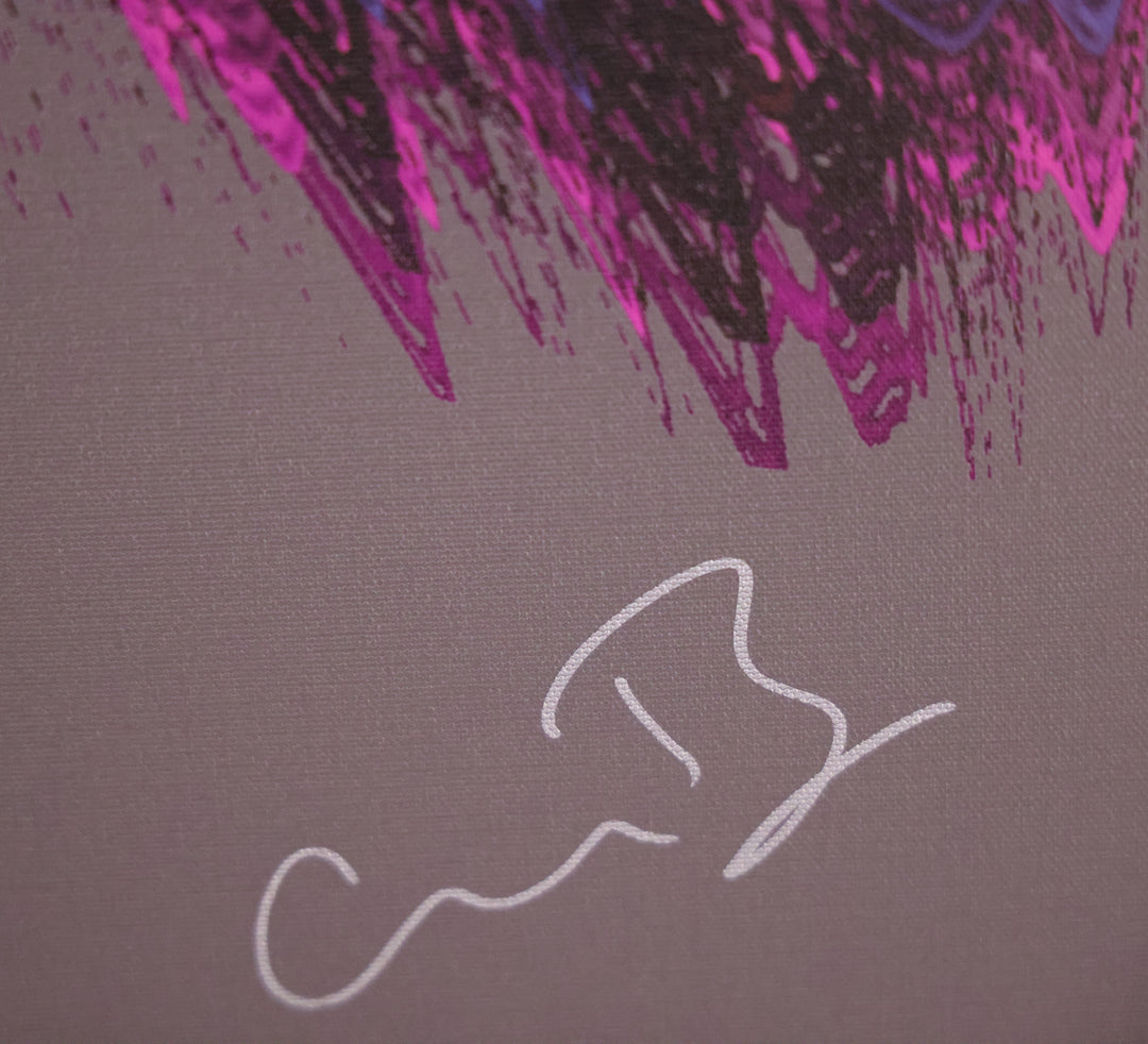 Fred Armisen & Carrie Brownstein: 