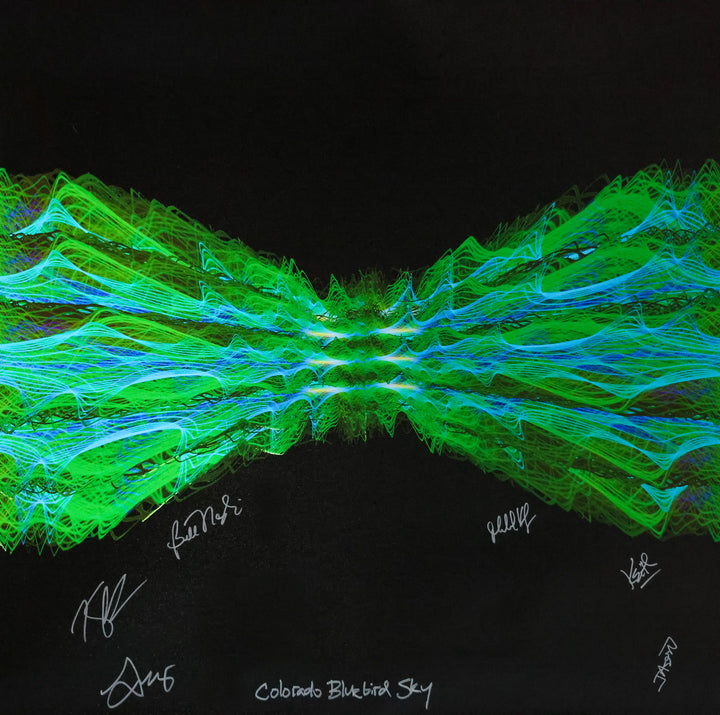 その他 Artbeats Colorado Scenes String Cheese Incident: 