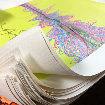 Austin Soundwaves Artwork | Signed Austin Soundwaves Prints