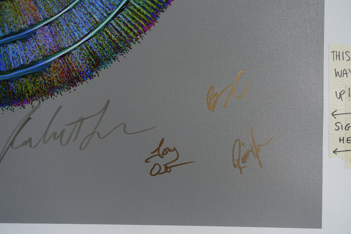 DSC06574_720x.jpg?v=1647027410