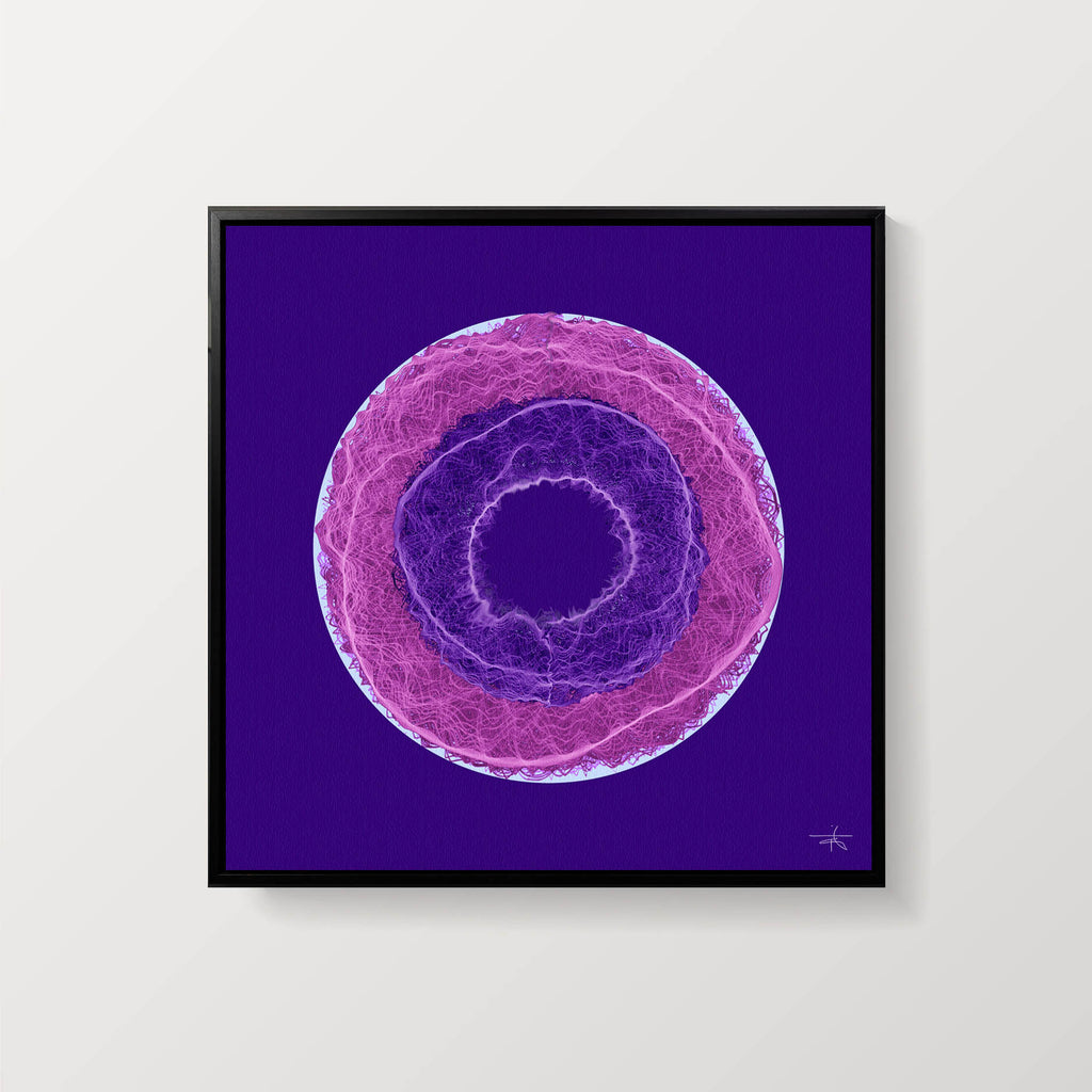 Kelly Clarkson & P!nk: 